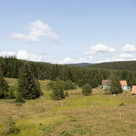 Oaza Mira Golija * Brusnik (Ivanjica)