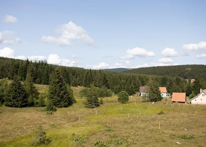 Oaza Mira Golija * Brusnik (Ivanjica)